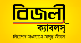 BIJLI Cables